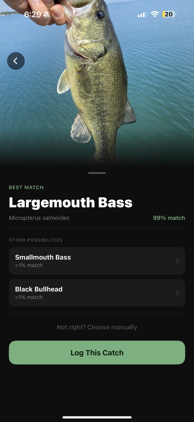 PBCatch identifying a largemouth bass on device